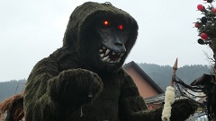 2026-02 Narrentreffen Hofstetten (4)